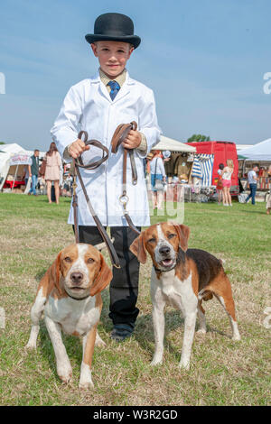 Fête de la chasse, de Peterborough, Royaume-Uni. 17 juillet 2019. Le Festival annuel de la chasse est un événement d'un jour offrant le plus grand rassemblement de chiens dans le pays. Les busards, Beagles, Basset Hounds, Draghounds et chiens seront en compétition avec affiche de fell hounds, conductrices de chiens, et le populaire Sealey Terriers. Crédit : Matt Limb OBE/Alamy Live News Banque D'Images