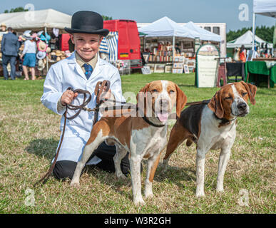 Fête de la chasse, de Peterborough, Royaume-Uni. 17 juillet 2019. Le Festival annuel de la chasse est un événement d'un jour offrant le plus grand rassemblement de chiens dans le pays. Les busards, Beagles, Basset Hounds, Draghounds et chiens seront en compétition avec affiche de fell hounds, conductrices de chiens, et le populaire Sealey Terriers. Crédit : Matt Limb OBE/Alamy Live News Banque D'Images