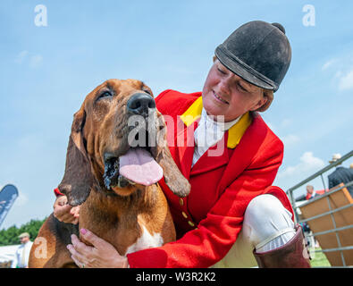 Fête de la chasse, de Peterborough, Royaume-Uni. 17 juillet 2019. Le Festival annuel de la chasse est un événement d'un jour offrant le plus grand rassemblement de chiens dans le pays. Les busards, Beagles, Basset Hounds, Draghounds et chiens seront en compétition avec affiche de fell hounds, conductrices de chiens, et le populaire Sealey Terriers. Crédit : Matt Limb OBE/Alamy Live News Banque D'Images