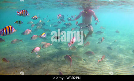 Poisson sous l'homme rss dans un masque de plongée dans la mer Rouge. Banque D'Images