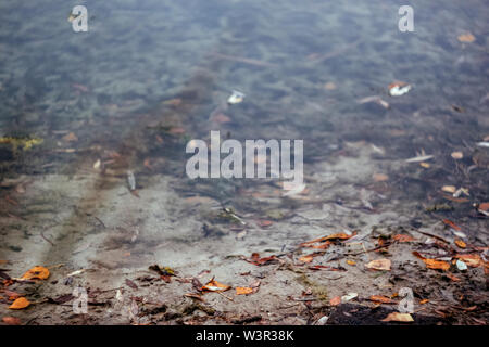 Dans un paysage de forêt automne lac de style rétro, sous film. Banque D'Images