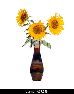 Fleurs de tournesol dans un vase en porcelaine ancienne isolé sur fond blanc Banque D'Images