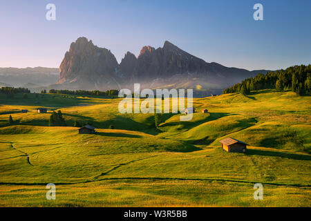 Lever de soleil sur l'été Alpe di Siusi, Dolomites, Italie Banque D'Images