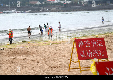 Qingdao, Chine, la province de Shandong. 17 juillet, 2019. Algues claire travailleurs le long de la plage de Qingdao, province de Shandong en Chine orientale, le 17 juillet 2019. Crédit : Li Ziheng/Xinhua/Alamy Live News Banque D'Images