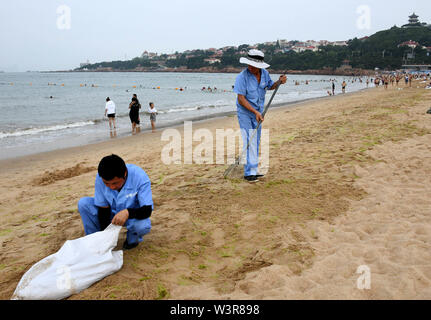 Qingdao, Chine, la province de Shandong. 17 juillet, 2019. Algues claire travailleurs le long de la plage de Qingdao, province de Shandong en Chine orientale, le 17 juillet 2019. Crédit : Li Ziheng/Xinhua/Alamy Live News Banque D'Images