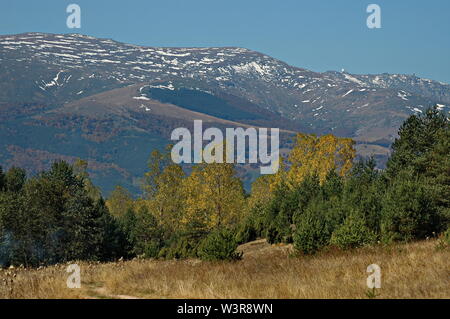 Voir l'automne étonnant de Glade, Hill, avec des forêts de feuillus et de conifères en montagne Plana, Bulgarie Banque D'Images