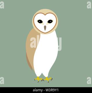 L'effraie des clochers. Vector illustration. Illustration de Vecteur