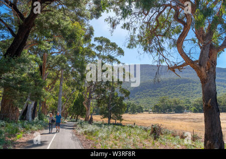 Les randonneurs sur un sentier par route dans les Grampians (C216/C222) près de Halls Gap, le Parc National des Grampians, Victoria, Australie Banque D'Images