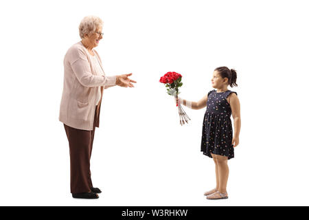 Tourné sur toute la longueur d'une petite fille donnant un bouquet de roses rouges à une grand-mère isolé sur fond blanc Banque D'Images