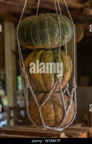 24-jul-2007 cuisine indienne pumpkin hanging out side kitchan Bhubaneswar, Orissa en Inde également comme Bhubaneshwar Banque D'Images