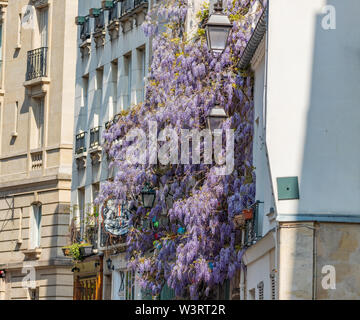 Paris, France, rue avec arbres en fleurs Banque D'Images