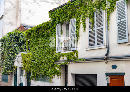 Chambre verte avec des vignes sur le mur et les volets à Paris, France Banque D'Images