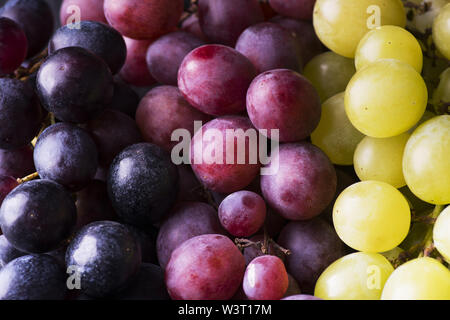 Libre de raisins de table, blanc et rouge le raisin noir Banque D'Images