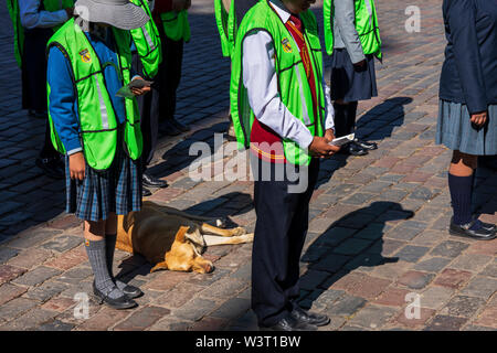 Couchage chien péruvien sur la rue pavée entourée par un groupe d'enfants des écoles sur le défilé sur la Plaza de Armas, la place principale, Cusco, Pérou, Afrique du Banque D'Images