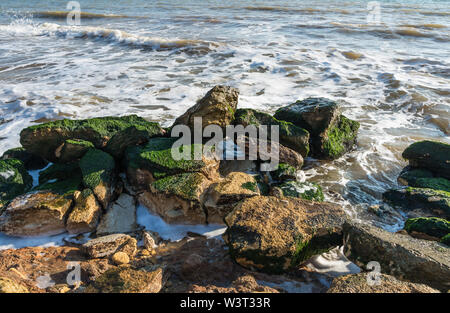 Des pierres couvertes d'algues vertes sur la côte de la mer Noire, près du village de La Fontanka, Ukraine Banque D'Images