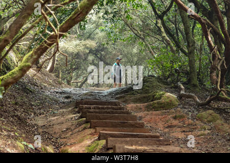 Un jeune voyageur dans la forêt relique. Pentes de l'ancienne chaîne de montagnes d'Anaga sur l'île de Tenerife. Arbre géant de lauriers et de bruyères le long narro Banque D'Images