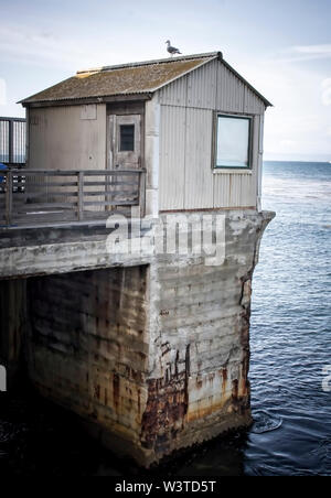 Gull unique siège au vieux bâtiment de rouille à la fin de la jetée en Californie paysage marin. Banque D'Images