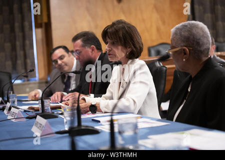 Juillet 17, 2019 - Washington, District of Columbia, États-Unis - Président de la Customs and Border Protection des familles et des enfants au bord de Homeland Security Advisory Council Karen Tandy, Vice-président de la Customs and Border Protection des familles et des enfants au bord de Homeland Security Advisory Council Jayson Ahern, MD, FAAP Membre à la Customs and Border Protection des familles et des enfants du groupe de soins Sharon W. Cooper, et membre de la Customs and Border Protection des familles et des enfants au bord de Homeland Security Advisory Council Leon Fresco tenir une table ronde avec le Senat Banque D'Images