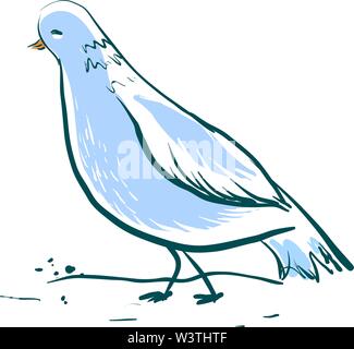 Belle colombe bleu, illustration, vecteur sur fond blanc. Illustration de Vecteur