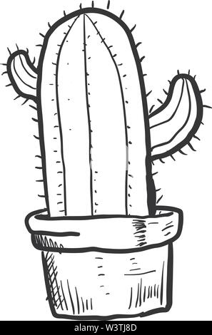 Croquis d'un cactus dans un pot, illustration, vecteur sur fond blanc. Illustration de Vecteur