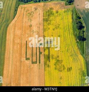 Photo aérienne d'une inscription l'air sur le champ de blé à Mechtenberg sur la ville frontière de Essen et de Gelsenkirchen à Gelsenkirchen dans la Ruhr dans Banque D'Images