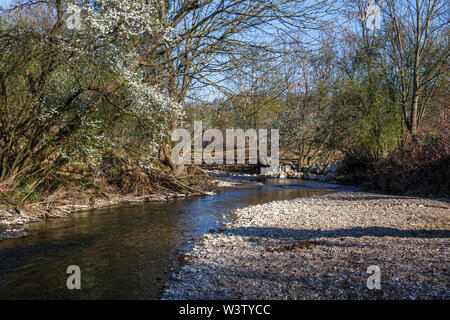 River kingfisher, Die Lauter, kleiner Fluß bei Nürtingen Banque D'Images