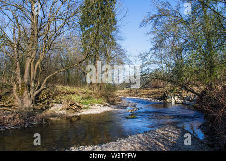 River kingfisher, Die Lauter, kleiner Fluß bei Nürtingen Banque D'Images