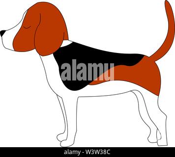Debout, Beagle, vector illustration sur fond blanc. Illustration de Vecteur