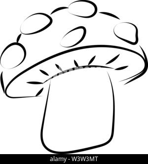 Dessin de champignons, illustration, vecteur sur fond blanc. Illustration de Vecteur