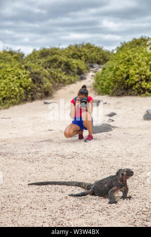 Galapagos Noël Iguana et photographe de la faune touristique prenant des photos Banque D'Images