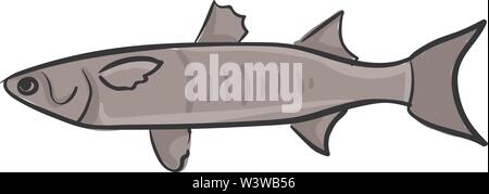 Poisson rougets, illustration, vecteur sur fond blanc. Illustration de Vecteur