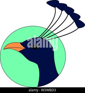 Peacook bleu, illustration, vecteur sur fond blanc. Illustration de Vecteur