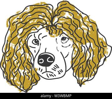 Poodle avec cheveux, illustration, vecteur sur fond blanc. Illustration de Vecteur