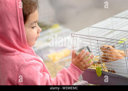 Un enfant de l'eau un hamster.tout-petit enfant donner de l'eau à l'animal de se nourrir une bouteille d'eau. Banque D'Images
