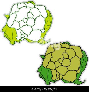 Fresh broccoflower, illustration, vecteur sur fond blanc. Illustration de Vecteur