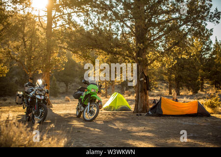 Moto aventure camping en forêt avec des tentes dans le centre de l'Oregon Banque D'Images