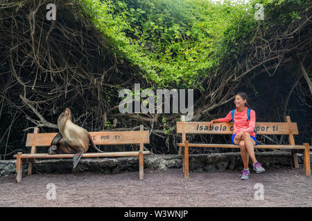 Les animaux des Galapagos. Tourist femme assis sur un banc avec vue sur la mer et lion sur l'île Isabela iguane dans le port de Puerto Villamil, îles Galapagos, Equateur, Amérique du Sud. Banque D'Images