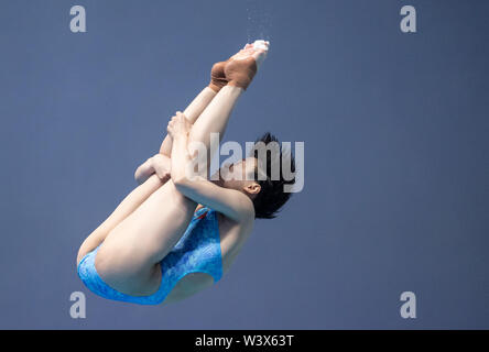 18 juillet 2019, en Corée du Sud, Gwangju : Natation : Championnat du monde de saut d'eau. Trois mètres en demi-finale du conseil des femmes. Tingmao Shi de la Chine dans l'action. Photo : Bernd Thissen/dpa Banque D'Images