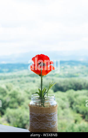 Corfou. Assis dans un restaurant près d'une fenêtre ouverte cette fleur était sur une corniche.un paysage magnifique a été la toile de fond d'où cette photo. Banque D'Images