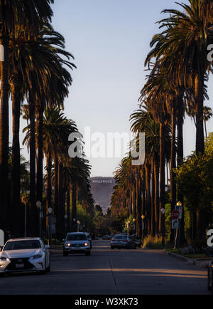 Panneau Hollywood vu d'une route avec des palmiers des deux côtés à Los Angeles Californie États-Unis Banque D'Images