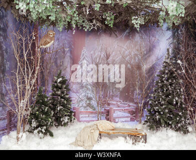 Décor du Nouvel An avec de la neige artificielle, les arbres de Noël et d'un banc avec coussins Banque D'Images