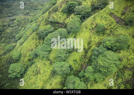 Un tour en hélicoptère est une superbe façon de voir l'étonnant paysage aérien de Kauai, Hawaii, USA y compris la célèbre Côte de Na Pali et Waimea Canyon Banque D'Images