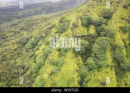 Un tour en hélicoptère est une superbe façon de voir l'étonnant paysage aérien de Kauai, Hawaii, USA y compris la célèbre Côte de Na Pali et Waimea Canyon Banque D'Images