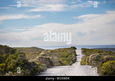 Parc National d'Agulhas protège l'habitat de fynbos et offre des sentiers de randonnée et de la plage, près du cap Agulhas, Western Cape, Afrique du Sud. Banque D'Images