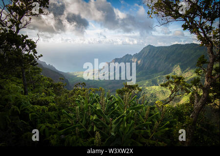 Vallée Kalalau Lookout, Kokee State Park, Waimea Canyon est l'une des plus belles vues sur Kauai, Hawaii, USA. Banque D'Images