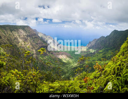 Vallée Kalalau Lookout, Kokee State Park, Waimea Canyon est l'une des plus belles vues sur Kauai, Hawaii, USA. Banque D'Images