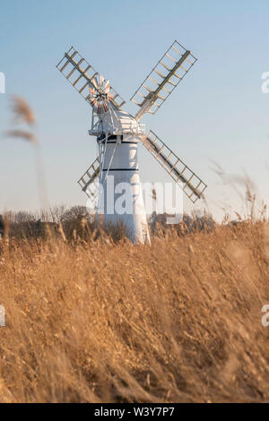 Royaume-uni, Angleterre, l'East Anglia, Norfolk, Norfolk Broads, Thurne, digue Thurne Moulin de Drainage Banque D'Images