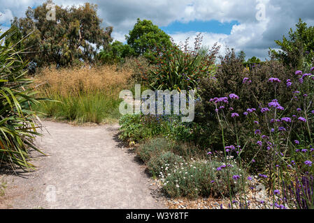 Le Graden sec RHS Hyde Hall. Banque D'Images