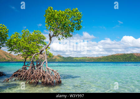 L'Île Coron, CJC, Palawan, Philippines Banque D'Images