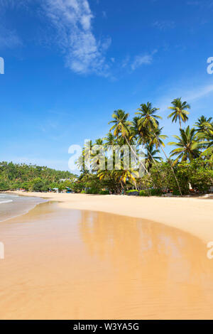 La plage de Mirissa, Province du Sud, Sri Lanka Banque D'Images